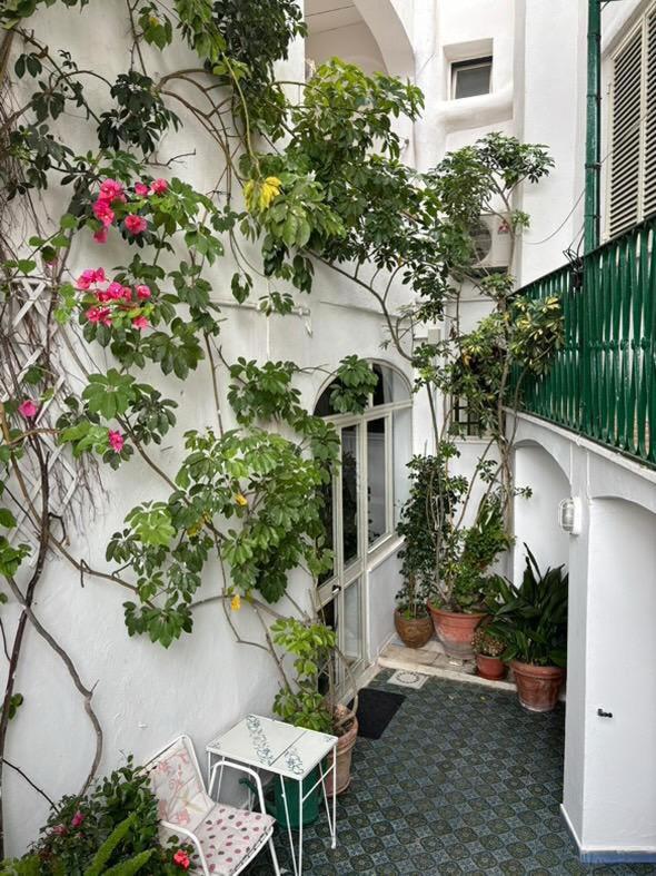 Hotel la Maggioressa Casamicciola Terme Esterno foto