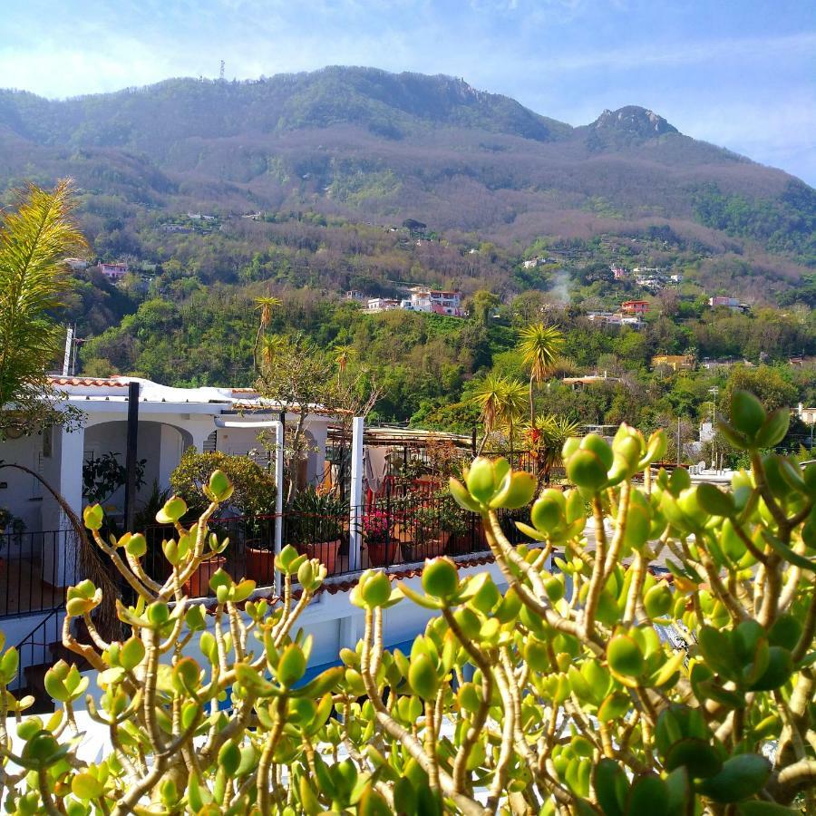 Hotel la Maggioressa Casamicciola Terme Esterno foto